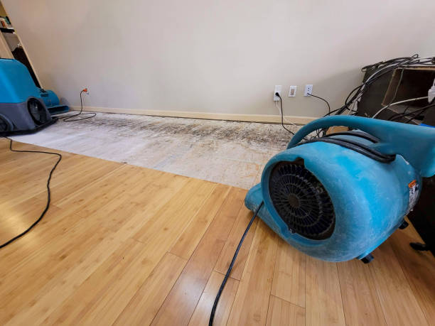 Professional Sewage Cleanup technician working in Alamo, TX